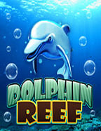 สมัคร สมาชิก mafia88 แล้วลุยเกม Pragmatic Play ด้วยสูตรเด็ด!